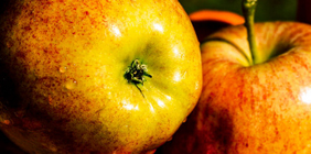 在线DDOS平台攻击